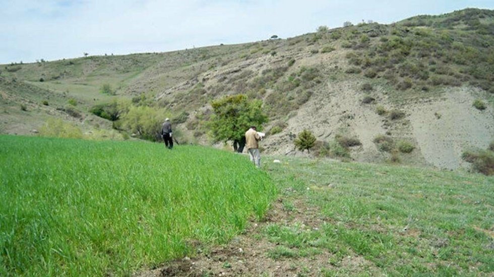 Meralar, hazine arazisine, hazine arazileri imara a&ccedil;maktan vazge&ccedil;in