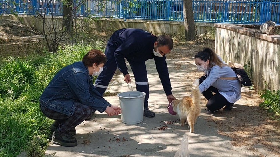 Efes Sel&ccedil;uk'ta korona g&uuml;nleri