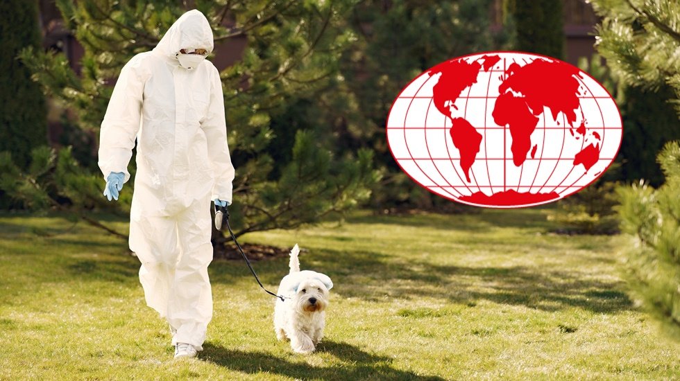 Bel&ccedil;ika uygulanan &lsquo;kısmi tecrit&rsquo; &uuml;&ccedil; aşamada kaldırılacak