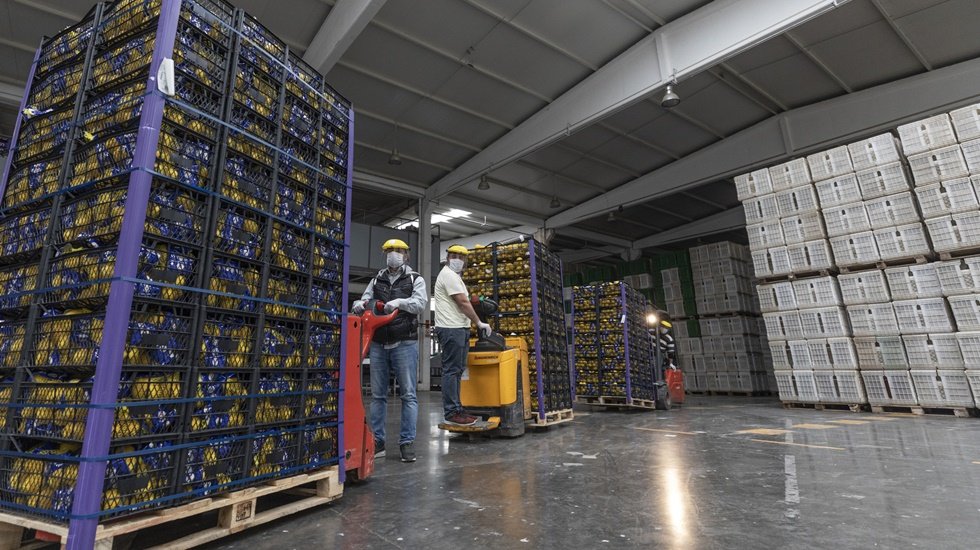 İstanbul&rsquo;un Ardından Ankara B&uuml;y&uuml;kşehir de Mersin limonu alacak