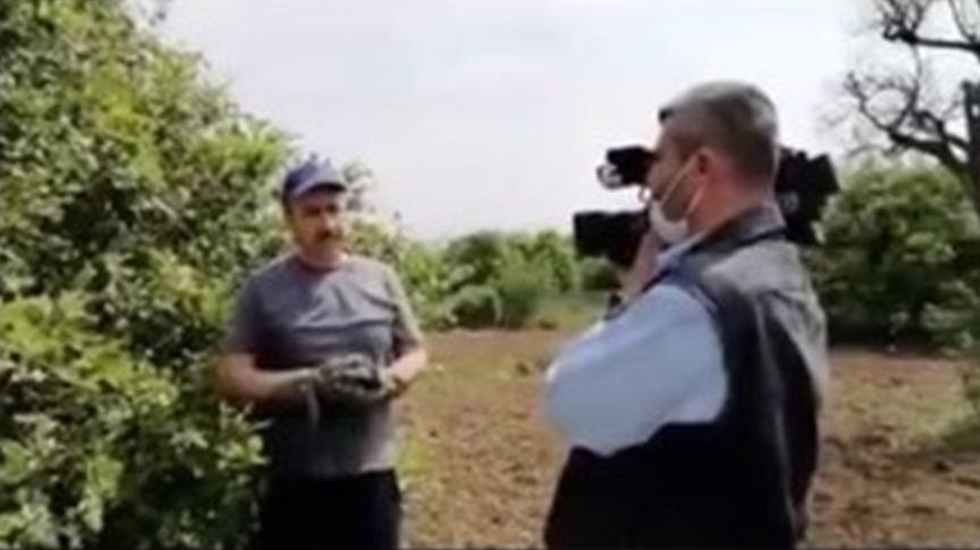 https://yenisoluk.com/uploads/2020/04/limon2