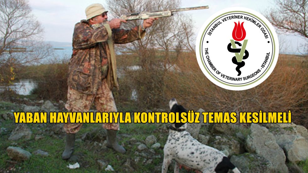 Yeni salgınları engellemek i&ccedil;in avcılık yasaklanmalı