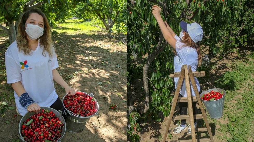 'Biz Varız' dayanışmasından &uuml;retici de g&ouml;n&uuml;ll&uuml; de memnun