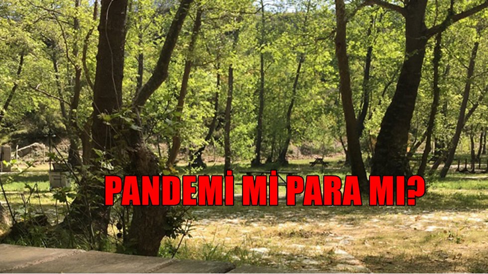 Ekonomiye 800 milyon TL katkı sunan mesire yerleri yeniden a&ccedil;ılıyor