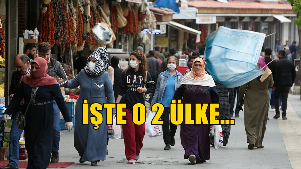 Genetik yapısı incelenen Vir&uuml;s T&uuml;rkiye'ye 2 &uuml;lkeden bulaştı