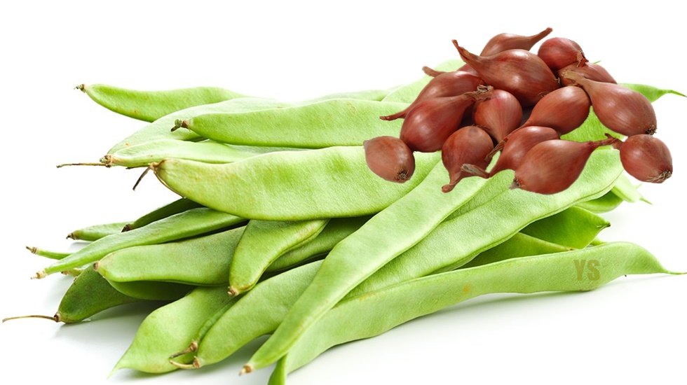 İstanbul'da nisan ayında soğan u&ccedil;tu fasulye indi&hellip;