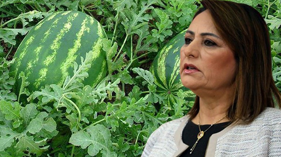 Meclis k&uuml;rs&uuml;s&uuml;nden Adana &ccedil;ığlığı...