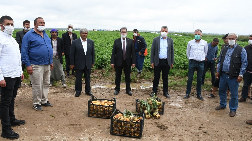 Patates ve soğan &uuml;reticileri, tarlada isyan etti