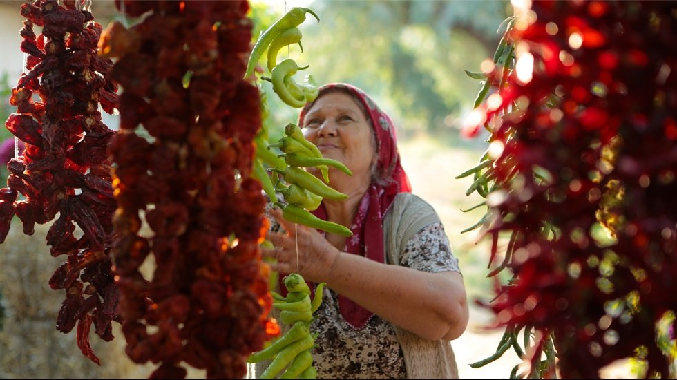 Unilever&rsquo;den Korona sonrası sosyal eşitsizlikler ve iklim i&ccedil;in birlikte hareket etme &ccedil;ağrısı
