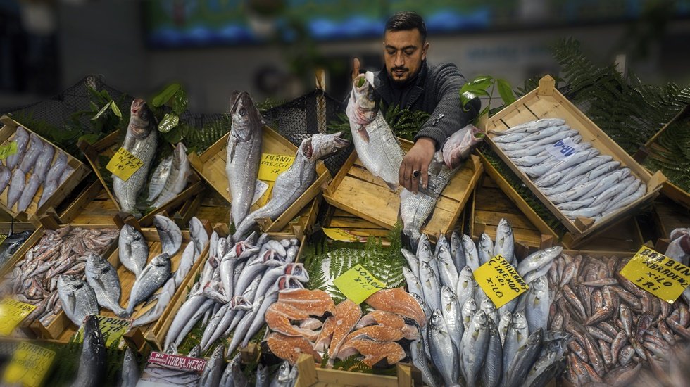 Omega-3 deposu balığın tam zamanı