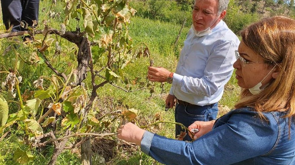 &Ccedil;ift&ccedil;iye k&ouml;t&uuml; haber: TARSİM kapsamında olmayan &ccedil;ift&ccedil;iye yardım yok!