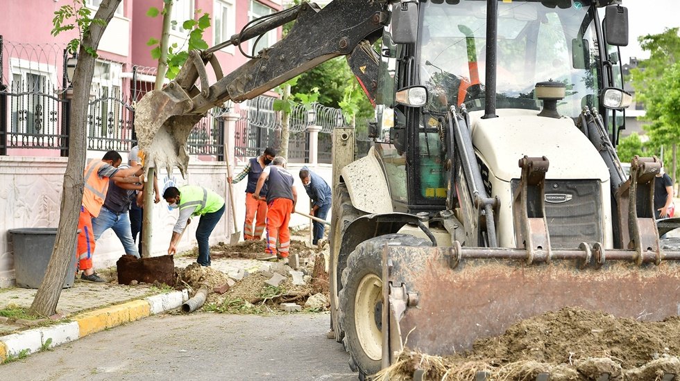 Devrilen 83 ağacın yerini çınar ağaçları alıyor