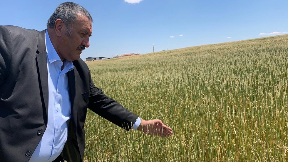 Hazine arazilerine tapu&nbsp;&ccedil;ıkarıldı, kiracılar ortada kaldı