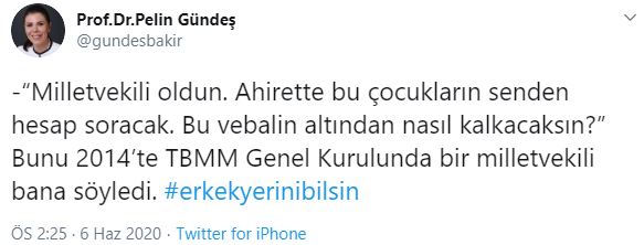 https://yenisoluk.com/uploads/2020/06/pelin6