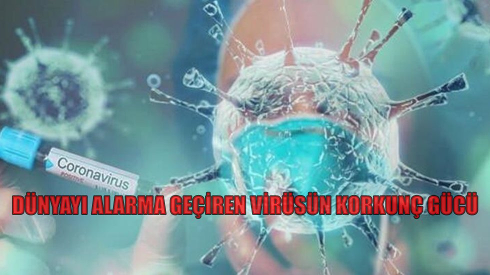 Yery&uuml;z&uuml;ndeki toplam koronavir&uuml;s&uuml;n ağırlığı 1 gram!