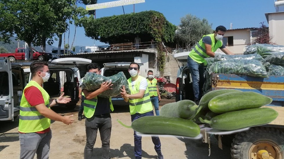 48 ton hıyar dağıtıldı