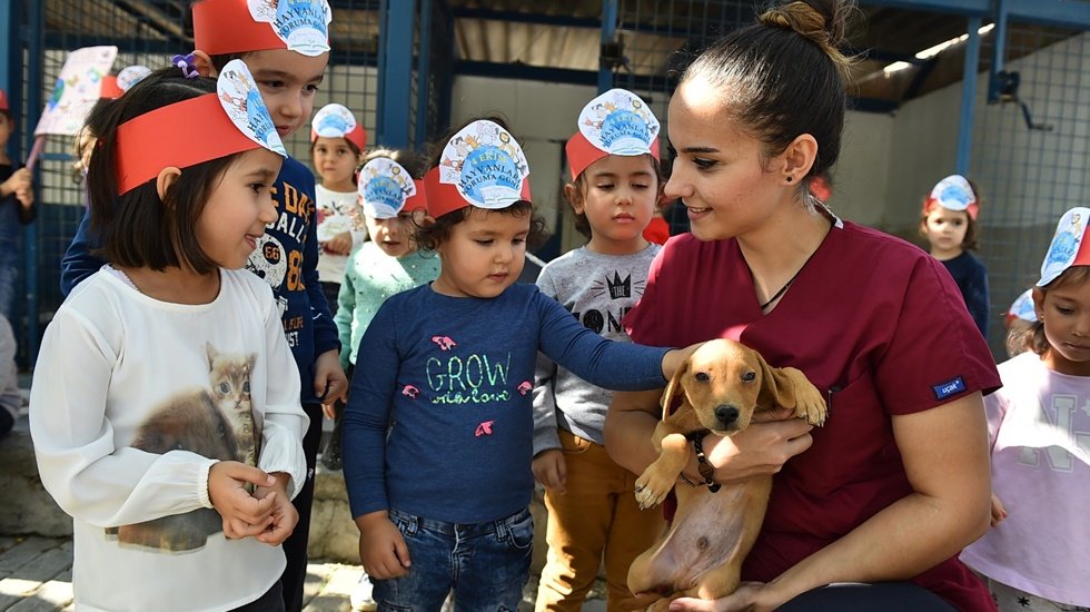 Büyükşehir’den bin 500 köpeğe Avrupa standartlarında rehabilitasyon merkezi