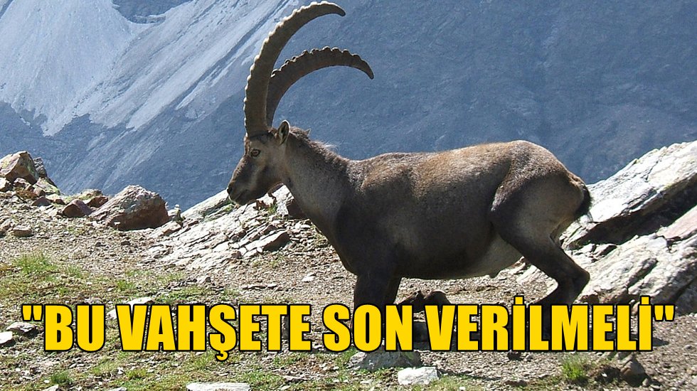 "İhale iptal edilmezse 5 ilde yine katliam yapılacak"