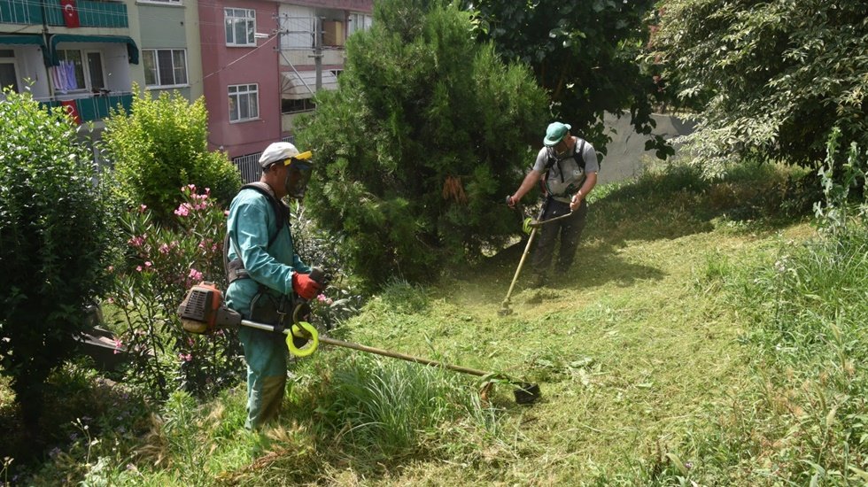 İzmit Belediyesinden yabani ot mesaisi