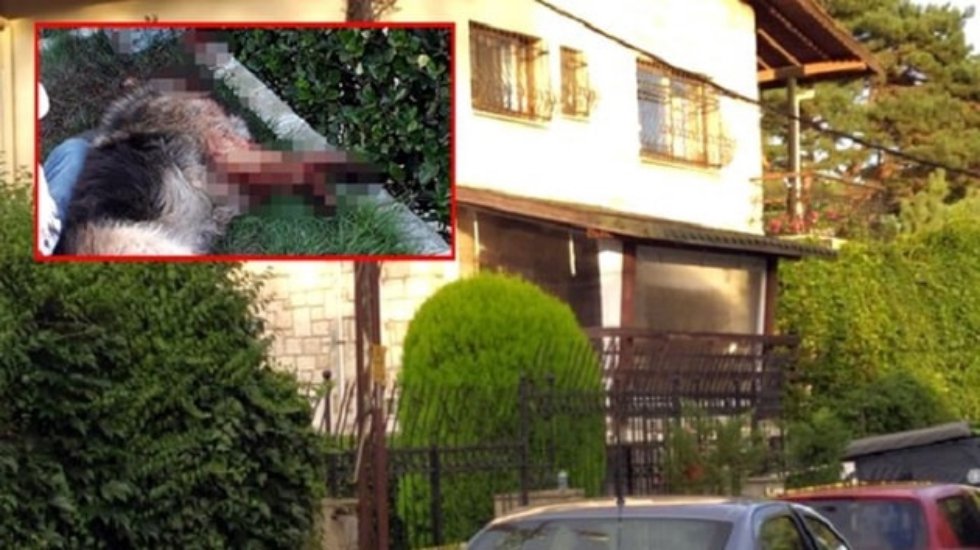 Vahşet: Komşusunun evini basıp k&ouml;peğin kafasına sıktı