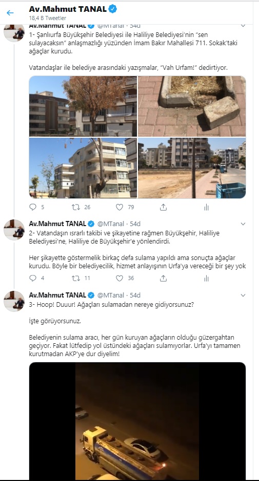 https://yenisoluk.com/uploads/2020/08/Tanal ağaç tweeti