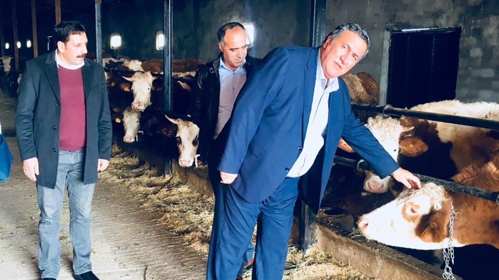  “Besicinin kâbusu üç gün hastalığı”