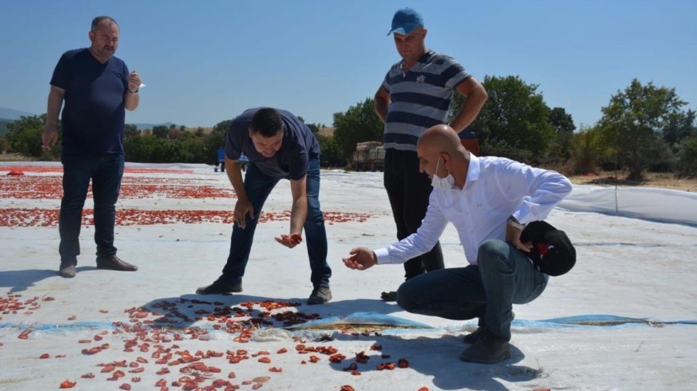 CHP'li Polat: &ldquo;Salgın sadece insanları değil, tarımı da vurmuş"