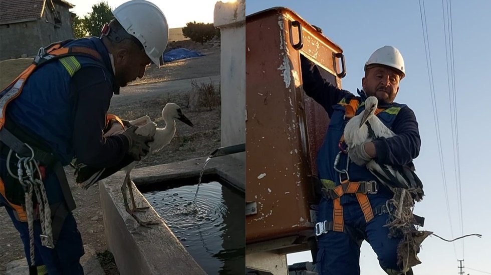 İşçiler bu kezde leylek kurtarmak için ter döktü