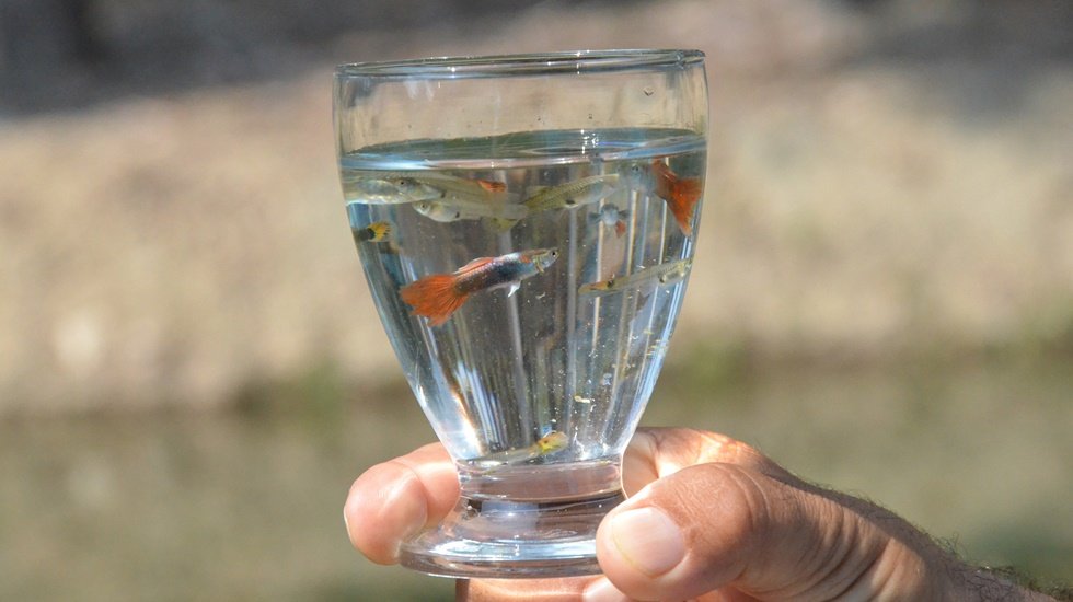 B&uuml;y&uuml;kşehir&rsquo;in geri d&ouml;n&uuml;ş&uuml;m at&ouml;lyesi harikalar yaratıyor