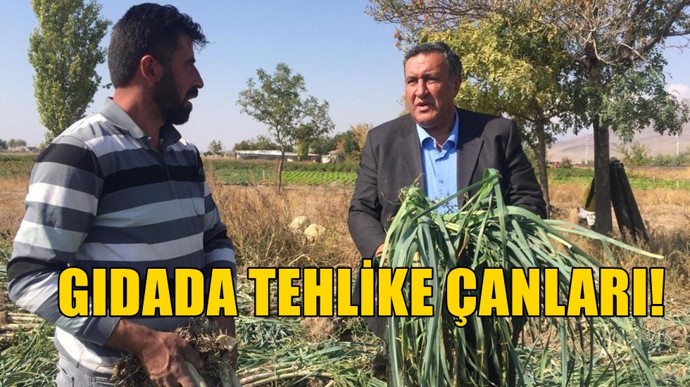 G&uuml;rer: &ldquo;Tarım ithalatı artık&ccedil;a &ccedil;ift&ccedil;i azalıyor&rdquo;