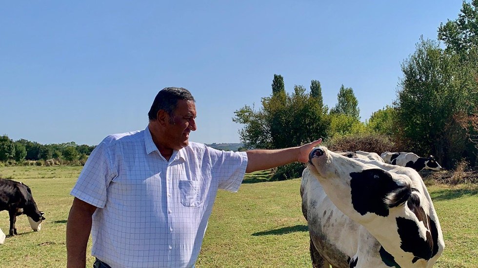 Hayvana ne kadar yem verirsen o kadar s&uuml;t alırsın...