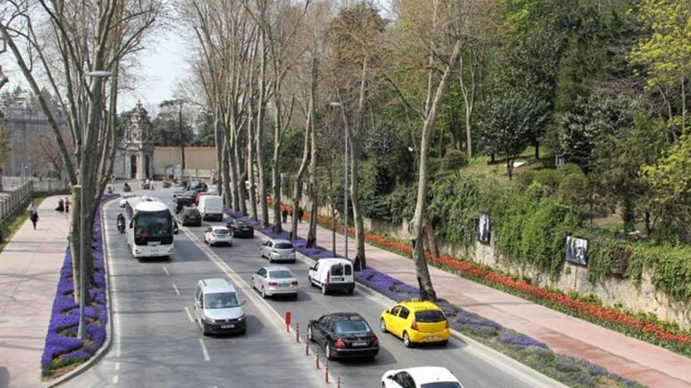 İstanbul caddelerindeki sağlıksız ağaçlar yenileniyor