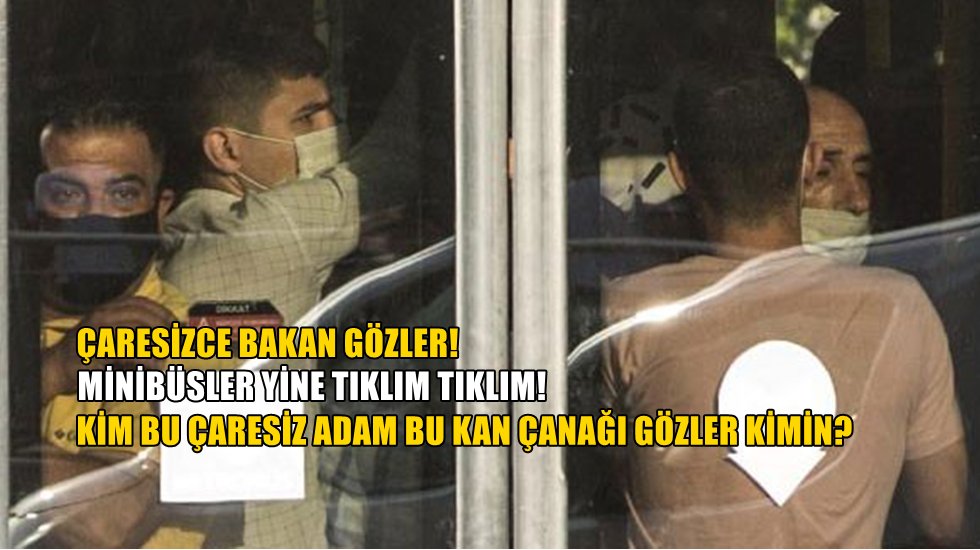 Koronaya rağmen bu fotoğraflar her yerde karşımıza çıkıyor