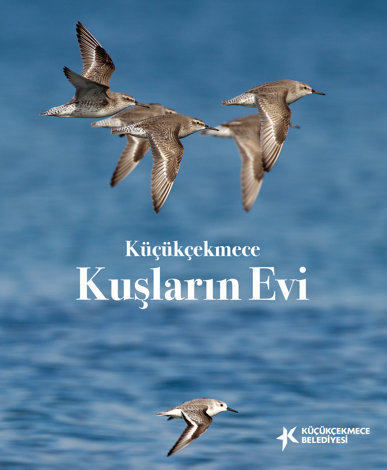 https://yenisoluk.com/uploads/2020/10/KUS KITAP KAPAK-SD