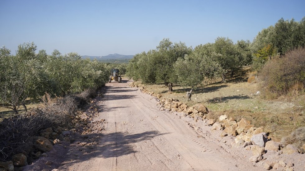 Enerji ve Tabii Kaynaklar Bakanlığı zeytinlikleri madenciliğe açan yönetmeliği savundu