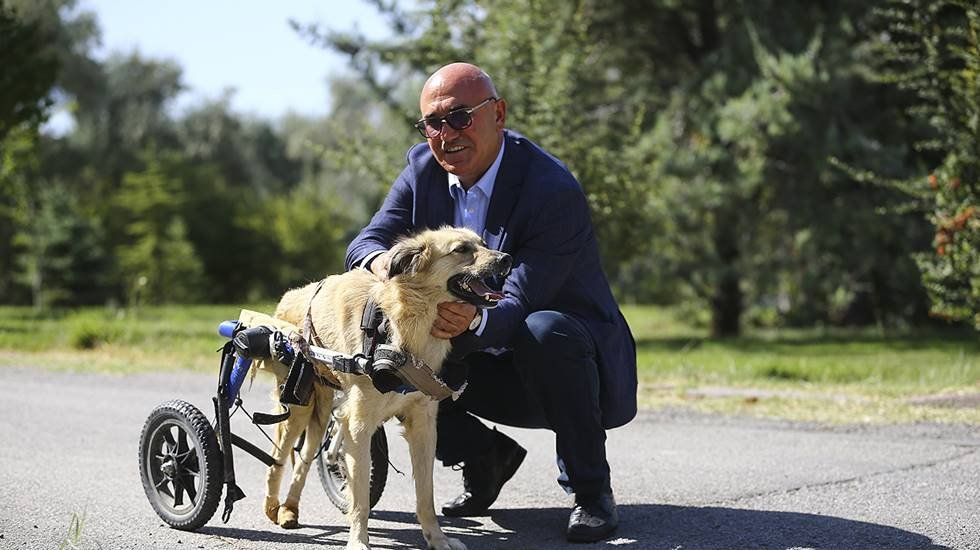CHP’den geniş kapsamlı hayvan hakları yasası teklifi