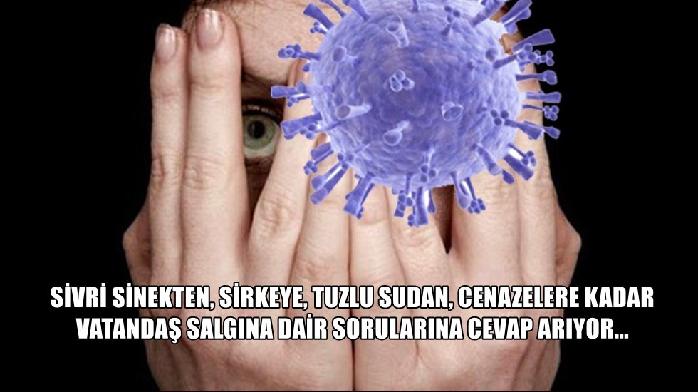 Herkes bu korona sorularının karşılığını merak ediyor!