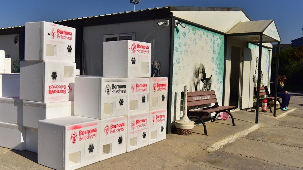 Bornovalı can dostları kış aylarına hazır