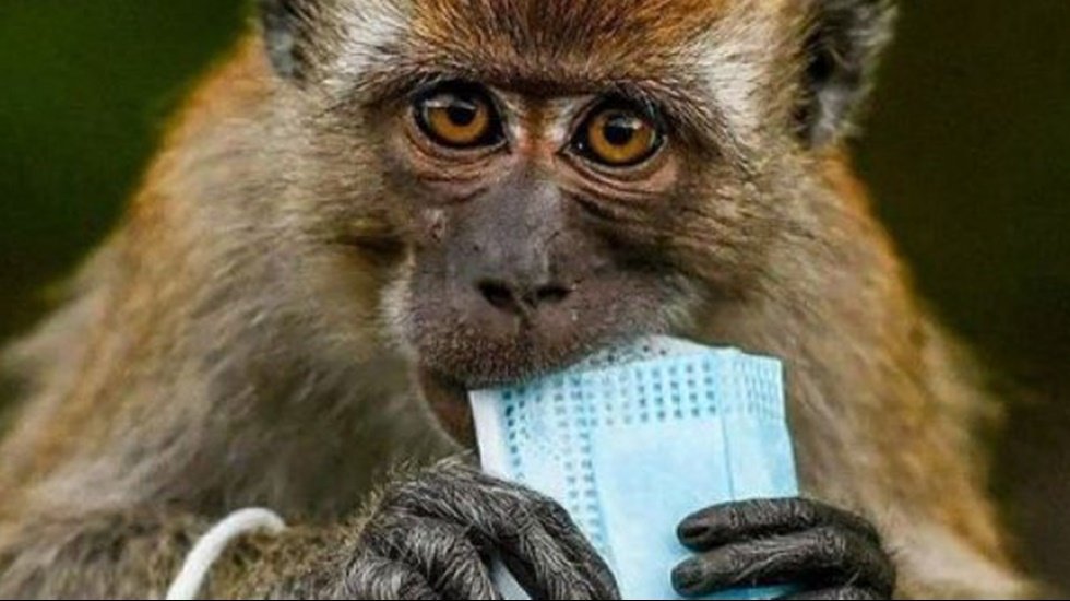 Kıyamete giden yol&hellip; Hi&ccedil; kimse g&ouml;r&uuml;nd&uuml;ğ&uuml; kadar masum değil