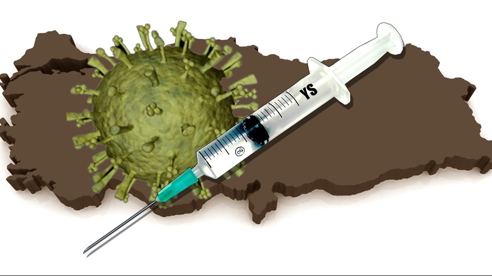 "Yerli aşının, Biontech, Sinovac veya Sputnik-V ile ek&uuml;ri olma durumu var"