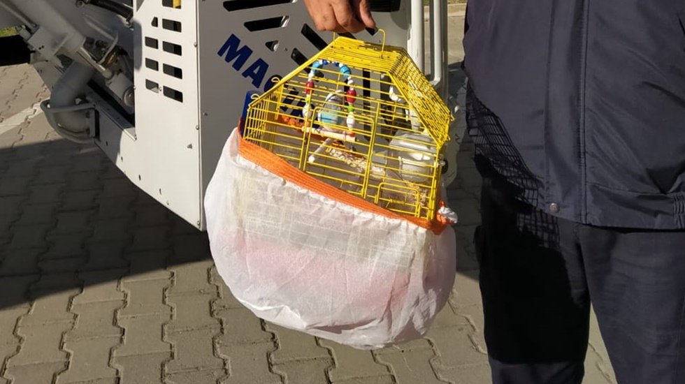 Sekiz gün sonra sahibiyle buluştu