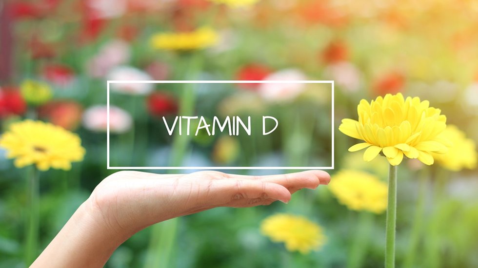 Bağışıklık sistemimizi koruyan asker işte o vitamin