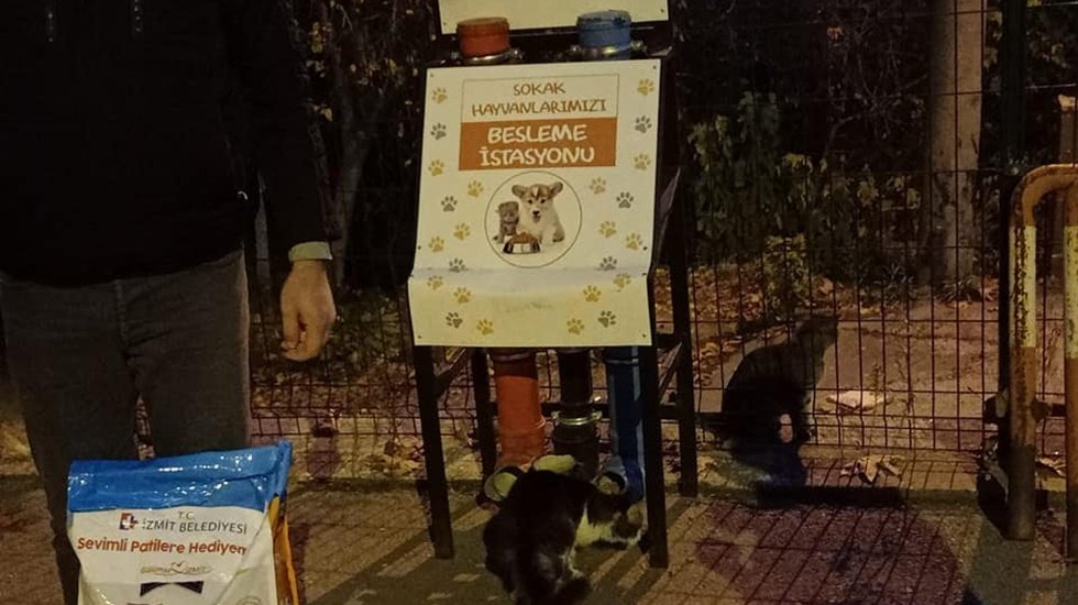 Dışarı çıkma yasağında sokak hayvanları aç kalmadı