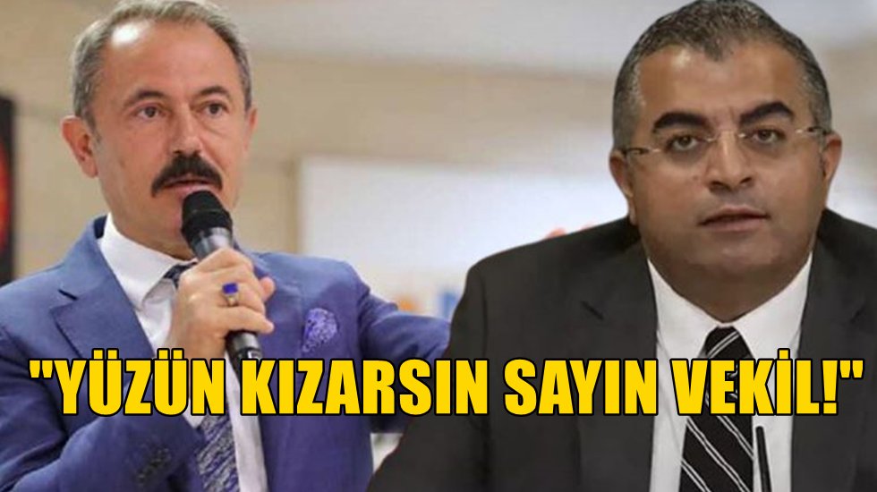 Gelecek Partisi'nden AKP'li Şahin Tin'e tepki: Y&uuml;z&uuml;n kızarsın sayın vekil