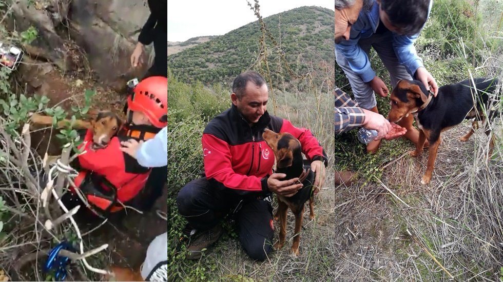 İtfaiye kuyuda mahsur kalan köpeği kurtardı