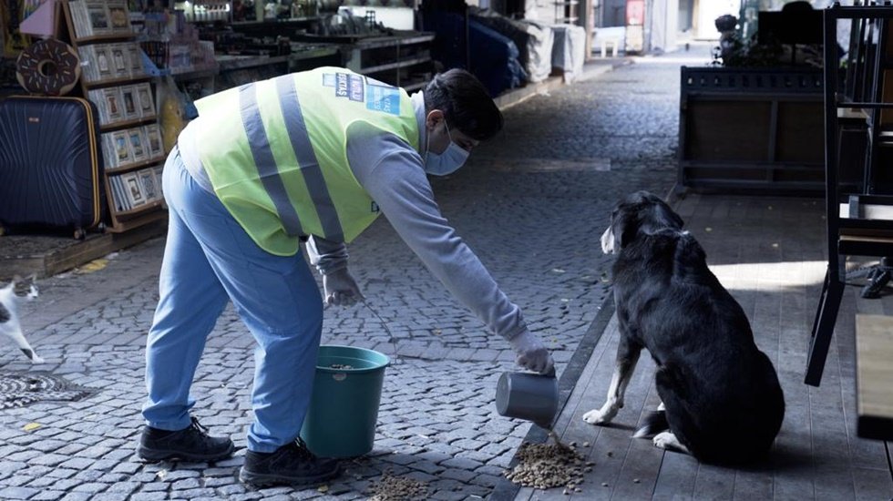 Sokağa çıkma yasağında Beşiktaşlı can dostlar aç kalmadı