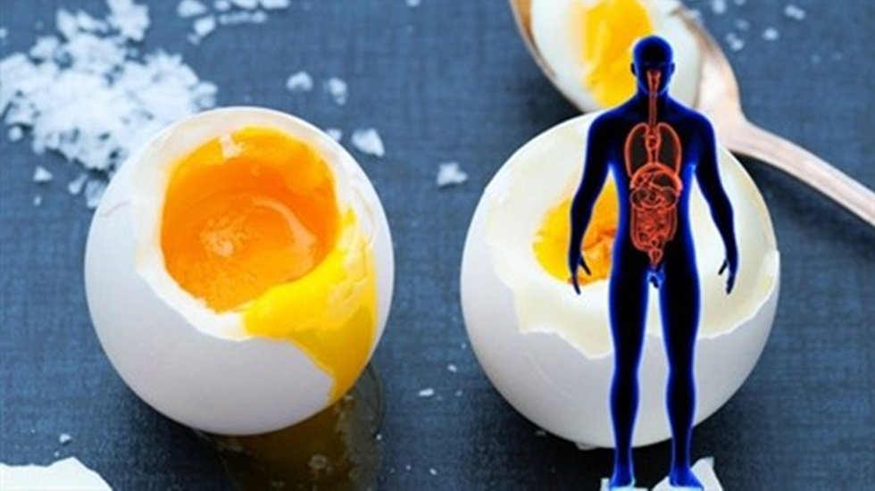 Kolesterolü yükseltecek endişesiyle yumurtadan uzak durmayın