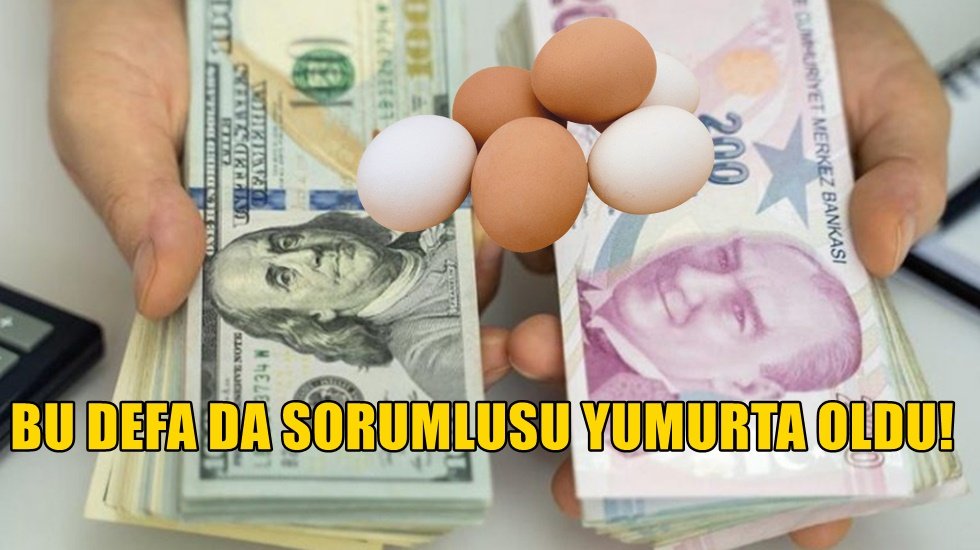2020&rsquo;de en &ccedil;ok değer kaybeden ikinci para T&uuml;rk Lirası oldu