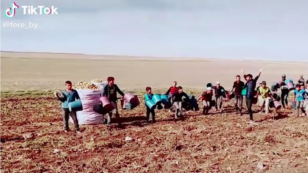 İş&ccedil;i sınıfından kendi alternatif sinema filmi