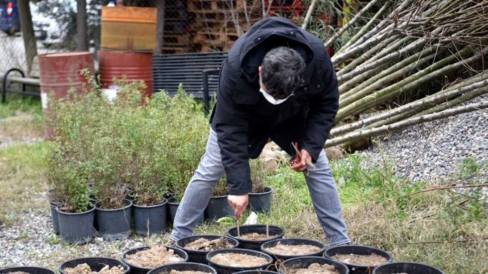 &nbsp;Ayvası var narı var!